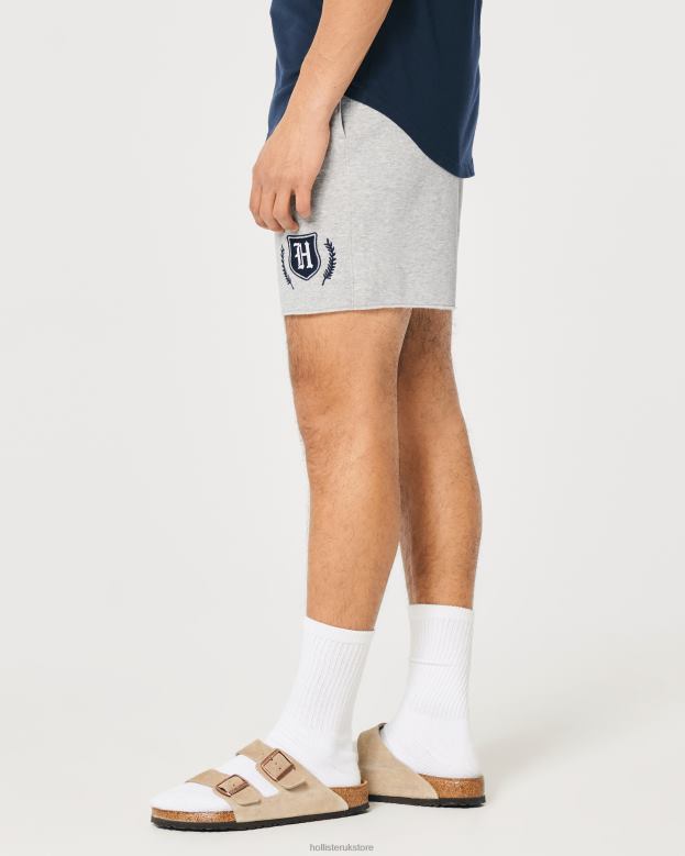Bottoms Hollister Men Fleece Varsity Graphic Shorts 7\\ 488201335 Heather Grey